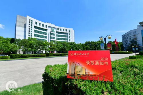 2019級萌新們,武漢輕工大學(xué)錄取通知書新鮮出爐